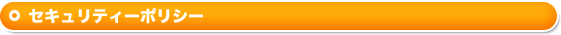 セキュリティーポリシー