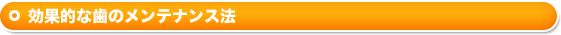 効果的な歯のメンテナンス法